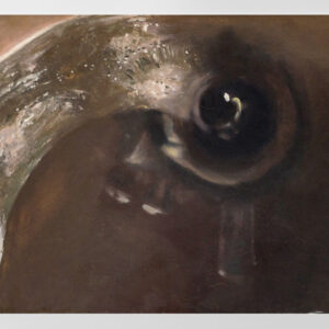 Estudio de un desagüe